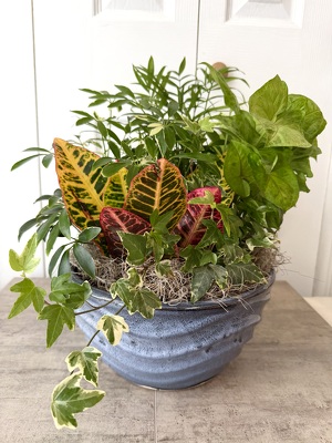 Ceramic Dish Garden 10 Inch from Aladdin's Floral in Idaho Falls